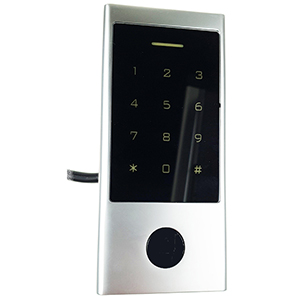 Digital keypad with card/fob reader H1E-FP
