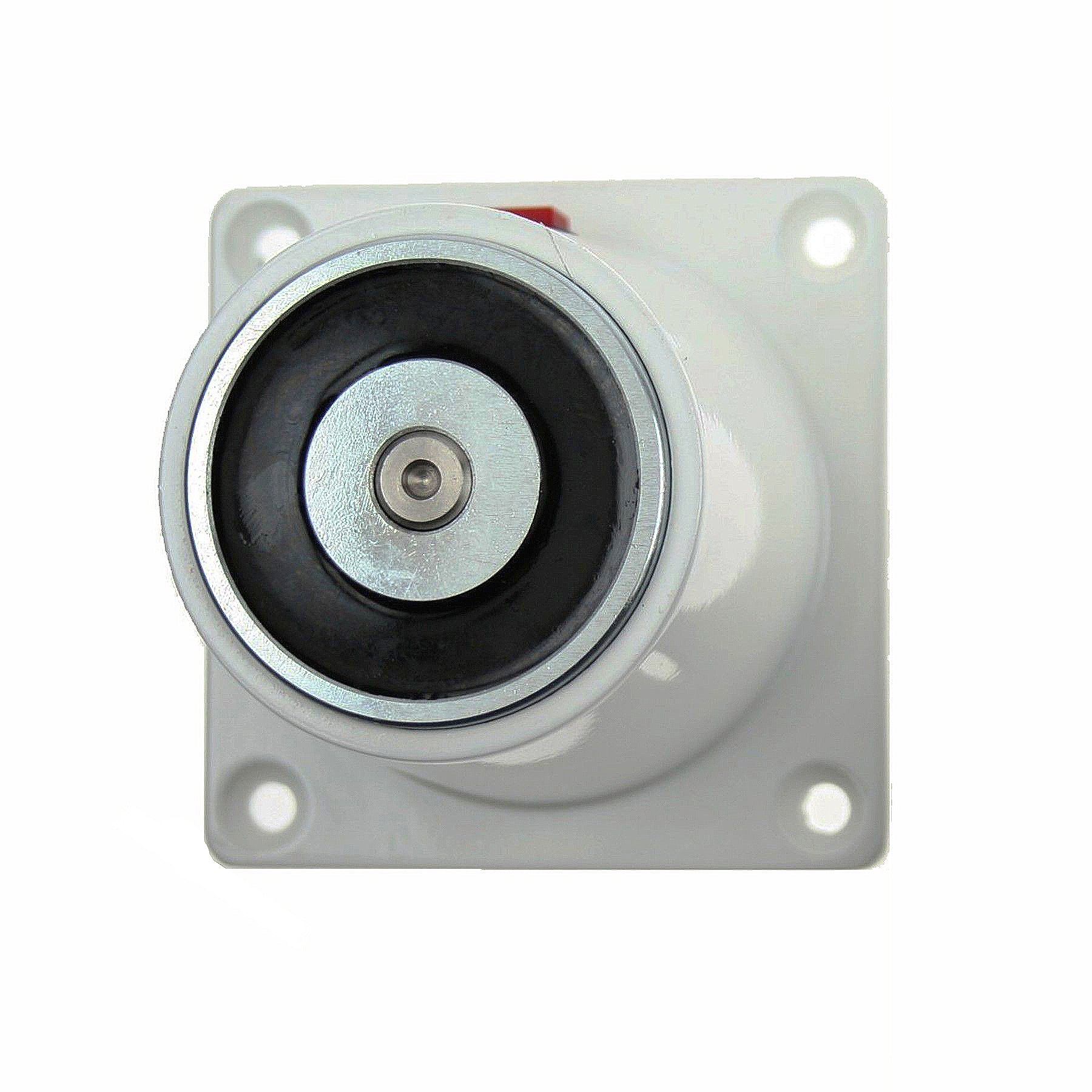 Magnetic Lock GD870S
